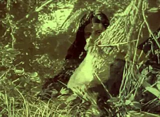 Dark lantern's vintage hairy beauty beaver retro pussy tease