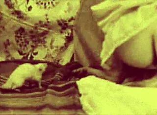 Dark lantern's vintage hairy beauty beaver retro pussy tease