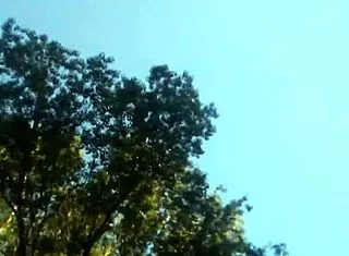 wild ride with thick caucasian girlfriend?