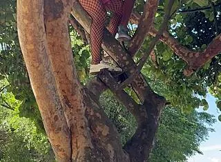 Brazilian Wife Rides Unknown Cock on Carnival Tree Swallows Cum in Public Block Fuck.
