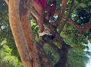 Brazilian Wife Rides Unknown Cock on Carnival Tree Swallows Cum in Public Block Fuck.