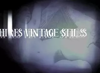 Dark lantern's vintage hairy beauty beaver retro pussy tease