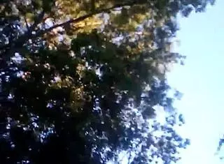 wild ride with thick caucasian girlfriend?