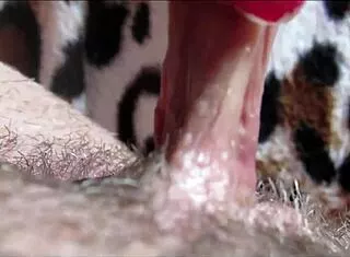 Watch her big clit pulse in homemade orgasm closeup 😍💦