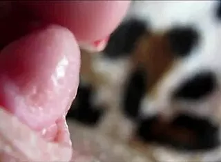 Watch her big clit pulse in homemade orgasm closeup 😍💦