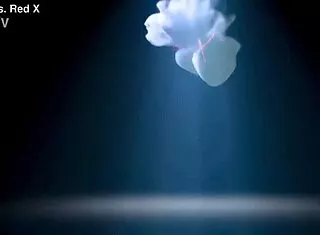 goth pierced nipple succubus feeds on sloppy lesbian dildo cum