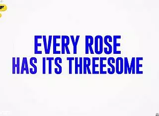 Hailey Rose's Interracial Threeway With Deepthroat Face Fuck Spank