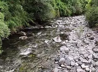 slutty teen catches pervert spying invites hotel double cumshot??