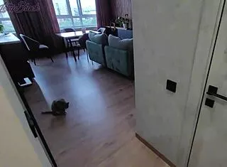 caught my wife cheating, fucked her cute ass doggystyle pov! 😏🍑