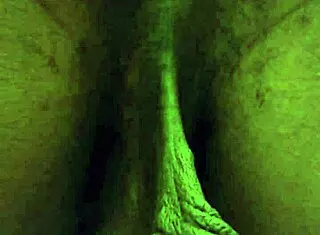 i worship hallelujah johnson's ass think about that booty