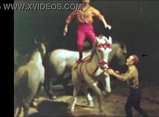 vintage erotic drawings tease sensual curves