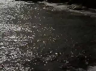 vintage erotic drawings tease sensual curves