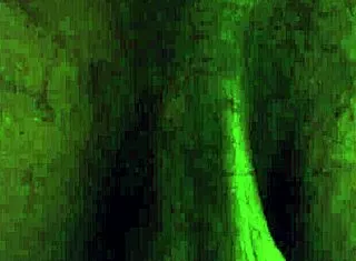 i worship hallelujah johnson's ass think about that booty