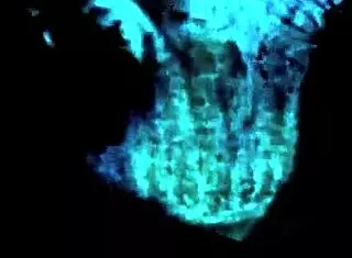 vintage erotic drawings tease sensual curves