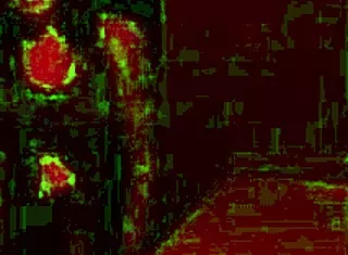 check out all these public flashes and my sluttiest moments compilation