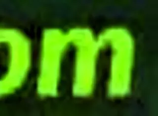 Revving Vintage 2-Stroke Dirtbikes with Hot Babes in Enduro Trailer!