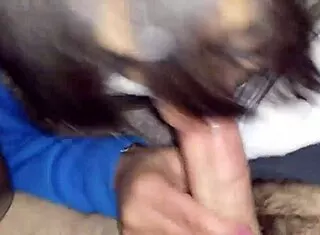 serbian hooker slurps cock hard in the car