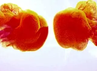wet brunette soaks sofa pussy with extreme dildo toys