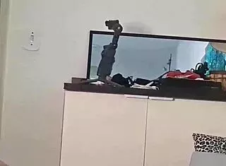 i'm teasing all you naughty online pervs camgirl style uh