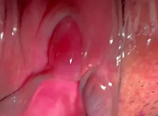 my amateur asian wife's shaved pink pussy 227 days post virginity loss closeup lick