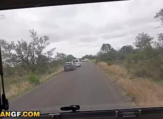 Super Tight Ebony Takes Monster Cock In Camper Pound!