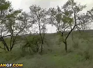 Super Tight Ebony Takes Monster Cock In Camper Pound!