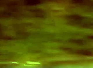 Street Police Bareback Blonde Big Ass Blowjob Handjob Cum in Mouth