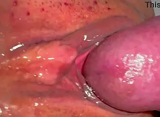 my amateur asian wife's shaved pink pussy 227 days post virginity loss closeup lick