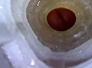 Insane Closeup Fleshlight Fuck and Cum Explosion