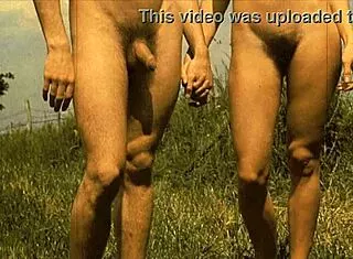 dark lantern unveils vintage nature girls outdoor charm