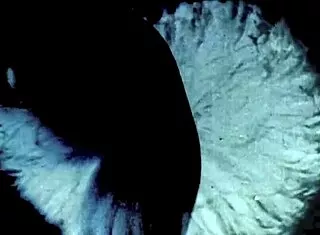 dark lantern pits 1850s vintage porn against 1970s hairy beavers