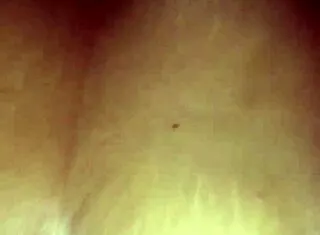 Intense Ball Licking Ends in Cum Blast on Tits