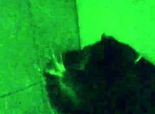 ASIAN SLUT WIFE rams DILDO VIBRATOR deep in SHOWER gym solo petite puffy nipples