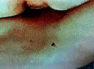 hidden indian couple sneaks passionate sex footage
