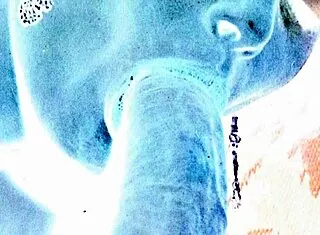 vintage erotic art retro antique bathing beauties