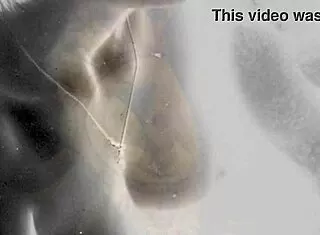 vintage erotic art retro antique bathing beauties