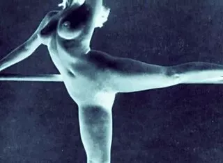 vintage erotic hairy art showcase