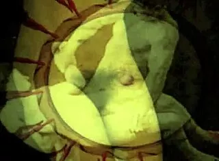 vintage erotic art unfolds sultry poses from retro eras