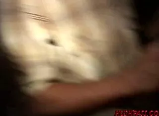 Amanda Bobs Monster Cocks With Blowjobs And Riding At Coed Pzy Party