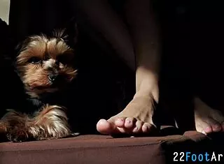 European fetish babe delivers erotic footjob cumshot in HD
