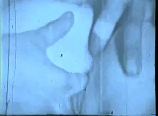 remember those hairy 1960s pussies in vintage blue film romps?