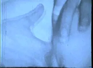 remember those hairy 1960s pussies in vintage blue film romps?