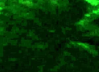 Hairy ebony milf spreads phat black pussy wide