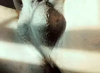 feminine sissy struggling to stroke limp clitty penis 😩🍆💦
