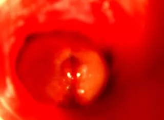oh god... moaning so hard in my sweet cum hole 😩💦