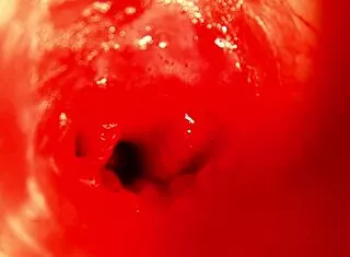 oh god... moaning so hard in my sweet cum hole 😩💦