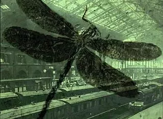Dark lantern's dragonfly orgy bangs hairy pussies wild