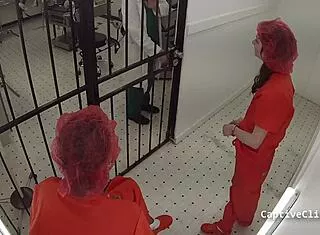 lesbian torment clinics lilly lyle nikki star spread shaved pussies hospital humiliation