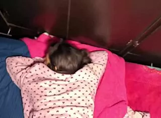 how old is this tiny latina seduced by dad's friend homemade!