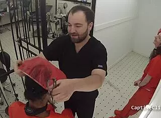 lesbian torment clinics lilly lyle nikki star spread shaved pussies hospital humiliation